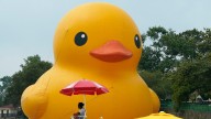 World’s largest rubber duck coming to Waukegan
