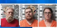 Three arrested in criminal abuse investigation
