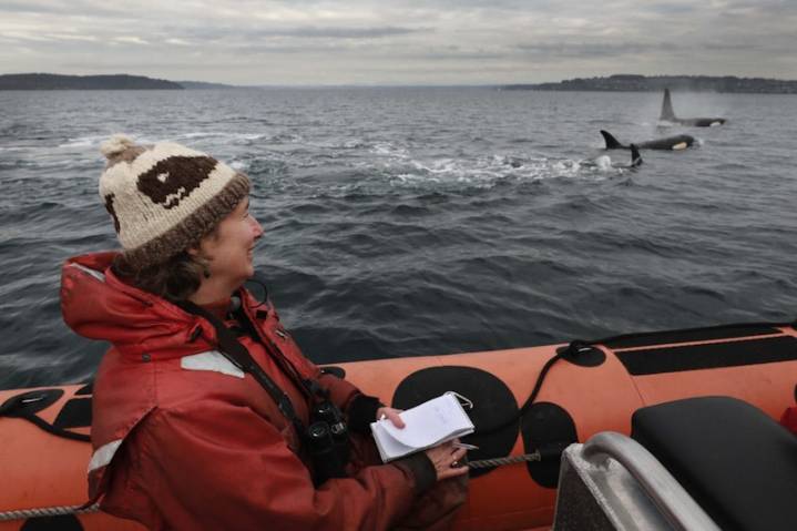 Environment reporter Lynda Mapes dove into Seattle’s Elliott Bay, and found some big changes