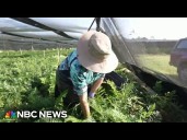 Researchers study the dangerous impacts of rising temperatures on the body
