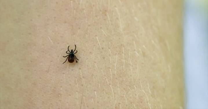 Tick prevention when outdoors is key