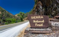 The U.S. Government Wants To Know What You Think About Its Plan To Build Roads Through National Forests