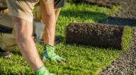 ¿Cómo hacer fertilizante casero para pasto?