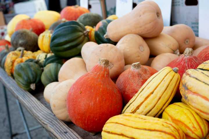 6 winter squash recipes to ease into autumn