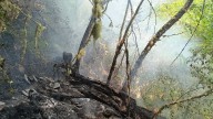 El fuego llega al techo de Galicia y amenaza durante días el bosque más antiguo