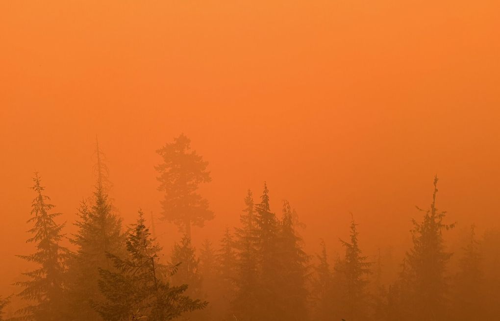 ‘Unhealthy’ wildfire smoke billows into Seattle, Bellevue