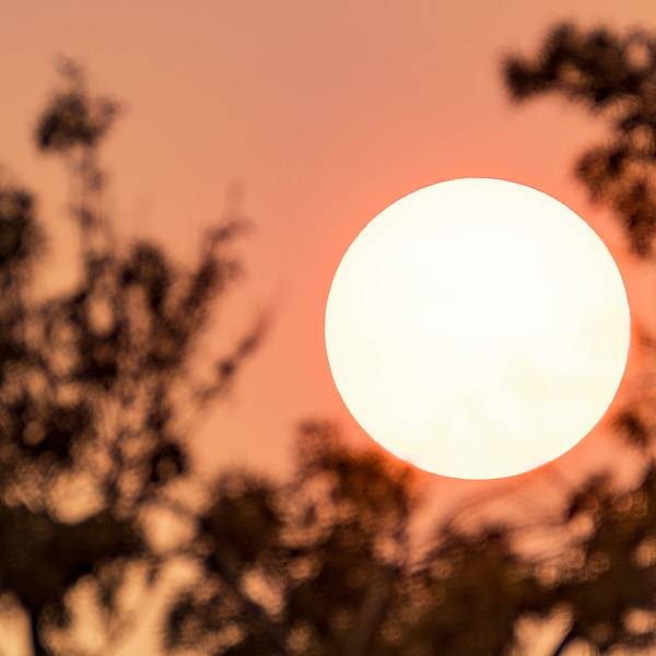Mayor Michelle Wu Declares a Heat Emergency in the City of Boston Monday, August 11th