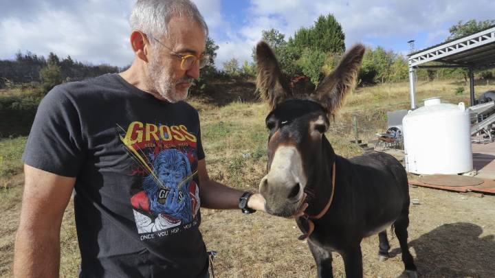 El burro que alertó del fuego