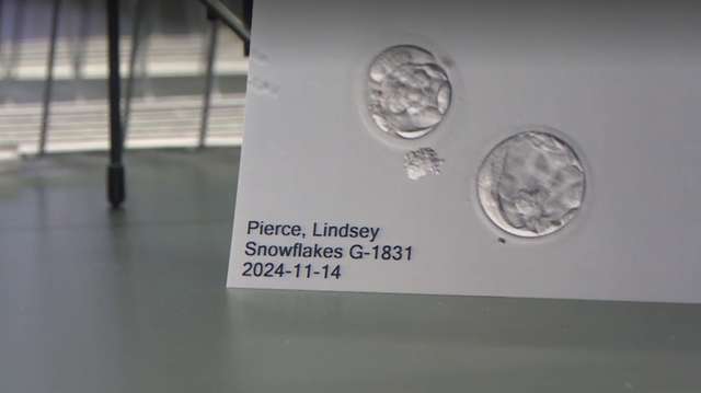 Baby born from 31-year-old frozen embryo in record