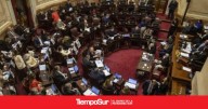 Diputados Reyes fue la única santacruceña que votó en contra de la ley de Aportes del Tesoro Nacional