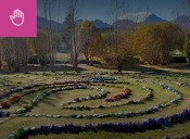 Invitan a caminata por el Día Mundial del Árbol