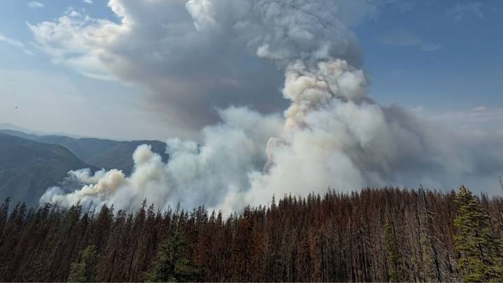 Emigrant Fire forces closures of campsites ahead of Labor Day weekend