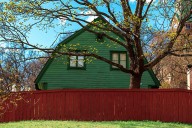 How to Handle Neighbor's Tree Hanging into Your Yard Legally, Ethically: Expert