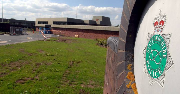 North Staffordshire cop 'lied' over woman's 'serious injuries' after domestic