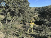 El nuevo convenio de Tragsa amplía las funciones de las BRIF, les sube el sueldo y reconoce la actuación en emergencias