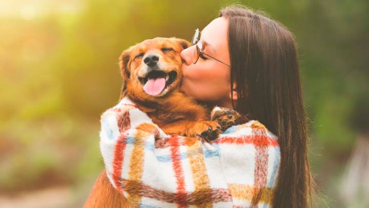 ¿Qué revela la psicología sobre ser amante de los perros?