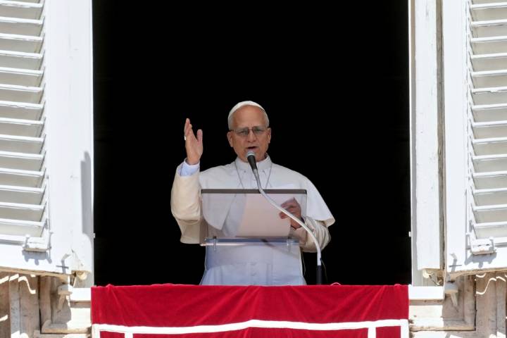Pope Leo urges end to 'pandemic of arms' in prayer for Minneapolis shooting victims