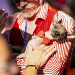 Photos of the World’s Ugliest Dog Contest held in California