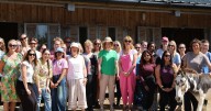 Sidmouth donkeys host NHS staff for mindfulness and wellbeing day