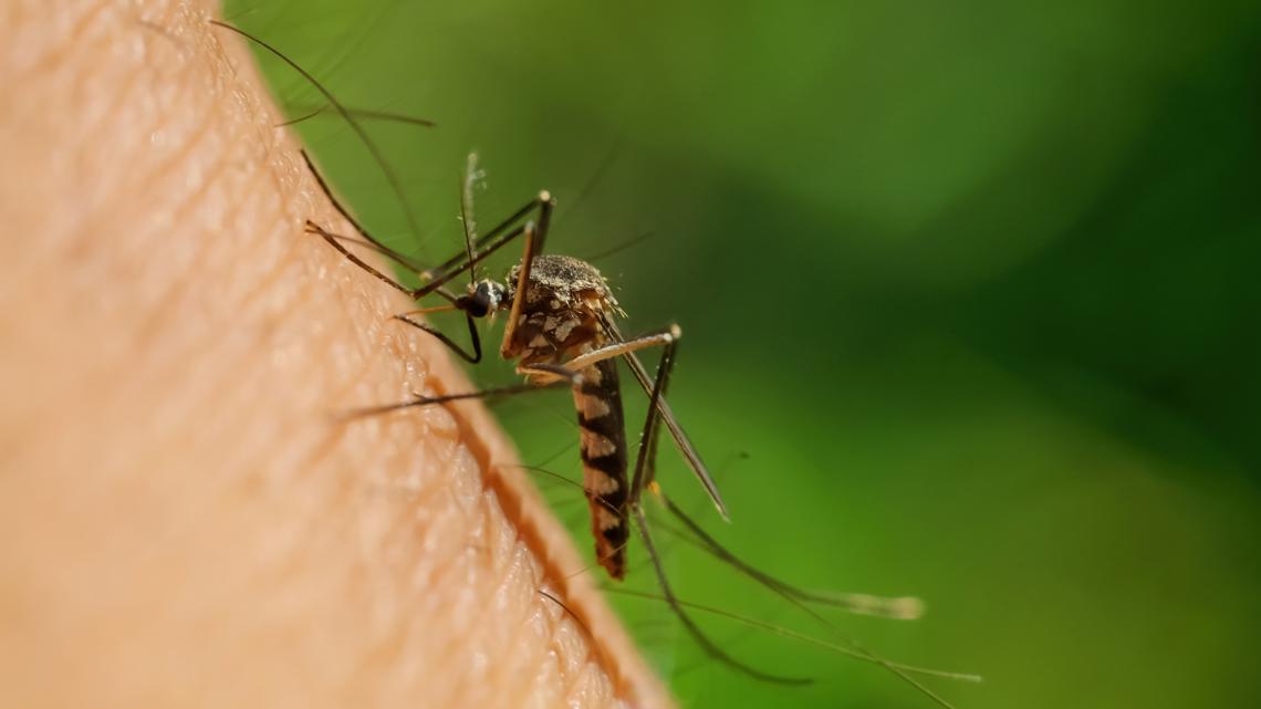 Kent County Health Department: West Nile virus-related death confirmed in the county