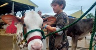 'Perfect' week; Fair celebrates youth and 125 years of tradition