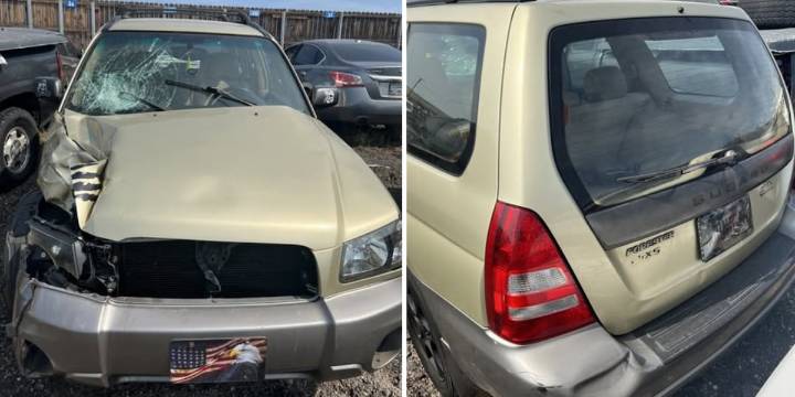 Police working to identify suspect involved in deadly hit