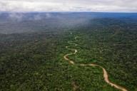Foro en Bogotá busca frenar crimen y deforestación antes de la Cumbre Presidencial