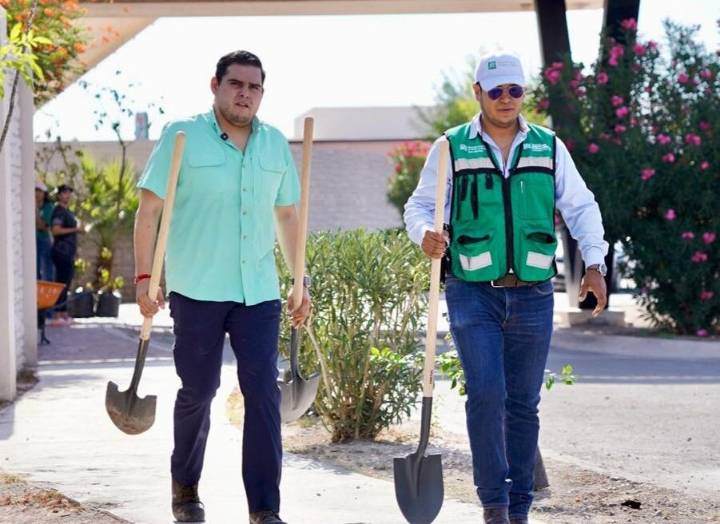 A través del programa “Torreón más verde”, reforestan bulevar Las Quintas