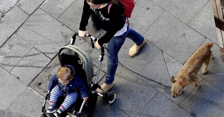 La Junta refuerza en Salamanca la formación de familias para mejorar el éxito educativo