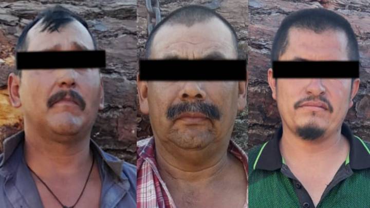Vinculan a proceso a 3 hombres por tala de árboles en Nuevo León