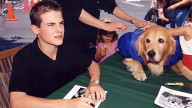 Your dog could be the next ‘Air Bud.’ Here’s how to apply