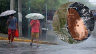 A preparar el paraguas: Posible ciclón podría llegar a Nuevo León en los próximos días
