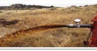 Roundup celebrates its fresh water after dealing with orange
