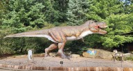 Akron Zoo Senior Safari offers discounted admission, animal encounters