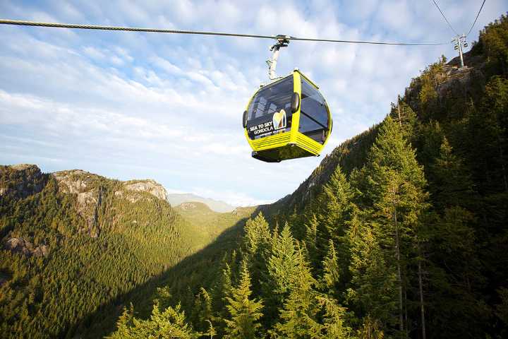 B.C. Forestry board to audit forestry licence near Pemberton