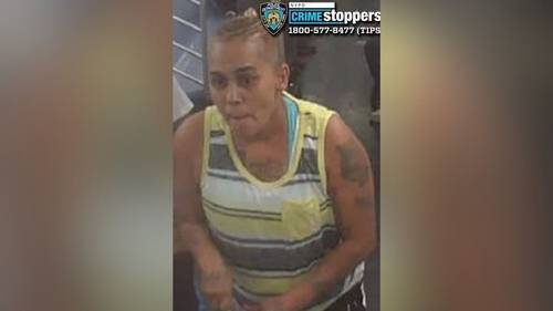 Police release photo of female suspect accused of slashing man in neck on 2 train in the Bronx