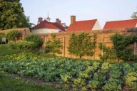 Grow fruit trees in small spaces with the trick known as espalier