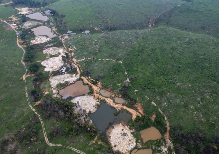 Un estudio revela que los árboles del Amazonas crean lluvia en la sequía con agua superficial