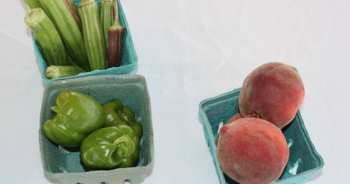 Lake Spivey Rec Center Farmers Market is Aug. 29