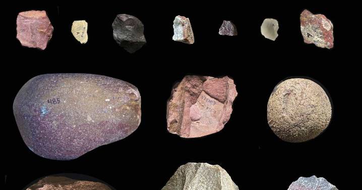 Stone Age humans were picky about which rocks they used for making tools, study finds