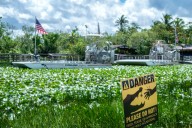 Everglades, de oasis de naturaleza a desafío del centro migratorio ‘Alligator Alcatraz’