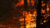Gobierno de Bolivia declara "emergencia nacional" por tres incendios forestales