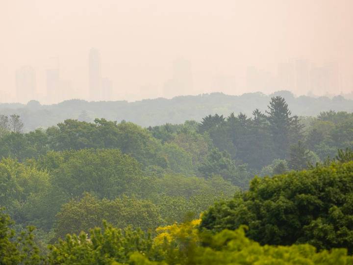 What’s really behind all the wildfire smoke