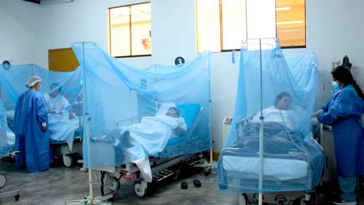 Ayacucho logra reducir en 93 % casos de dengue entre 2020 y 2025