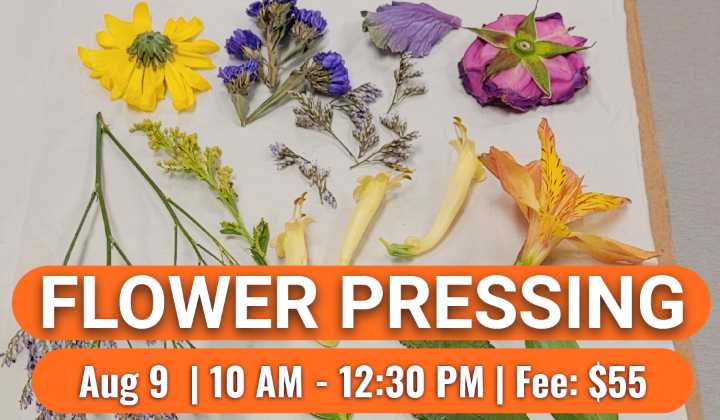 Preserve the Beauty of Nature: Join “Garden Exploration” with Kathy Anderson