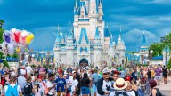 Walt DisneyWorld's cryptic answer over how they keep mosquitoes at bay – and why you don't see the bugs in the resort