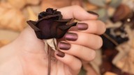 ¡Adiós al verano! Estas son las tendencias de uñas ideales para llevar este otoño