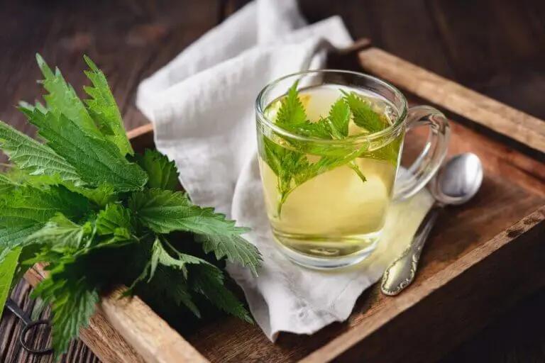 6 remedios naturales para fortalecer cartílagos y ligamentos