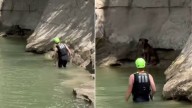 Golfers Notice Something Furry In Creek And Spring Into Action In Texas