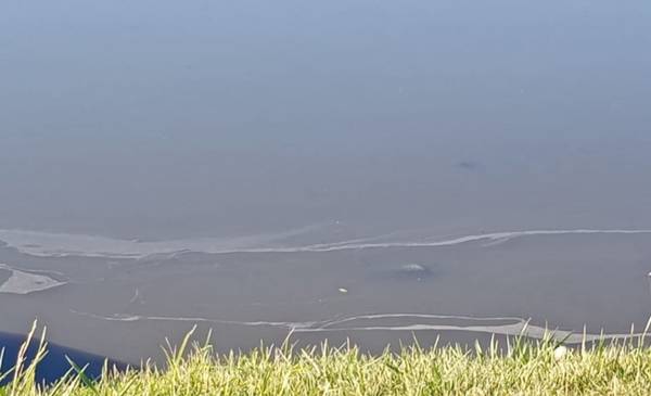 Rotura de una bomba en el Parque Industrial provocó la contaminación de agua de la laguna Chiquichano